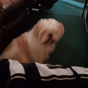 Meet your Posher, Lynn